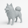 Spitz Alemão (Lulu da Pomerânia) Geométrico - Imagem 3
